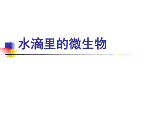 小學六年級科學 水滴里的生物 課件