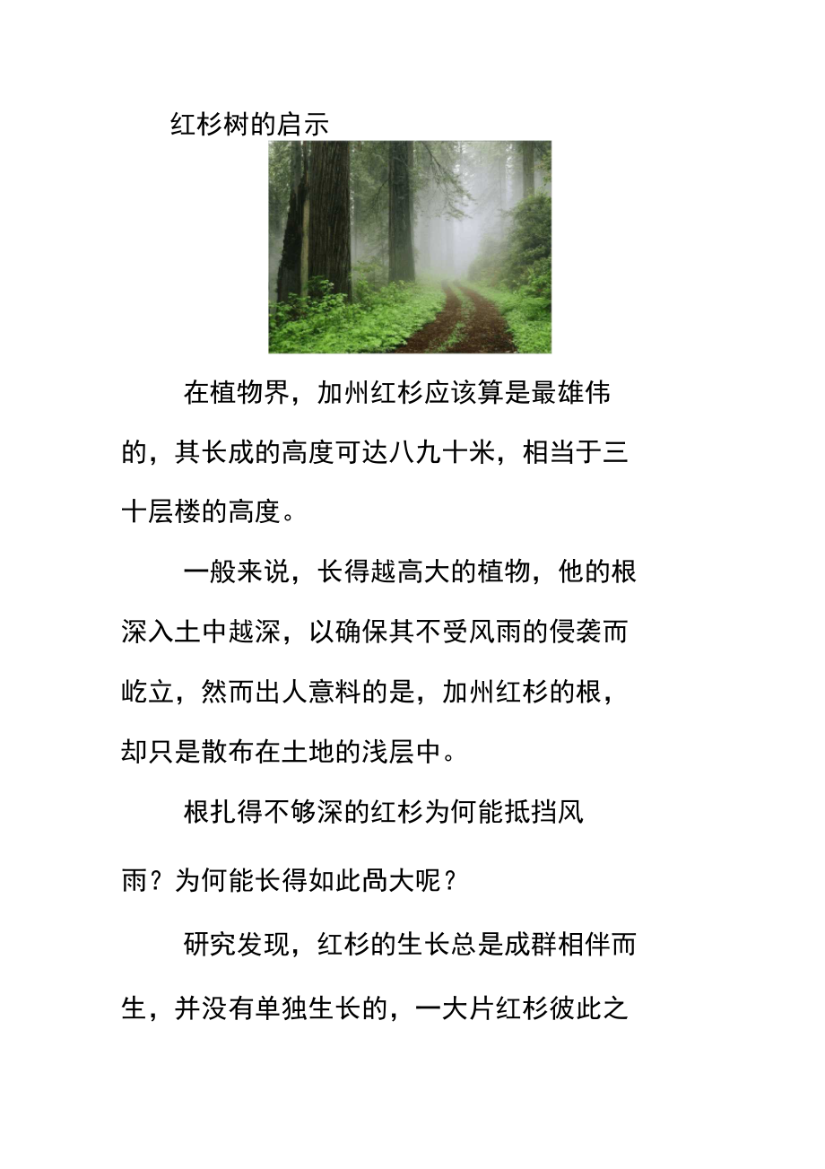 个人与集体：红杉树的启示_第1页