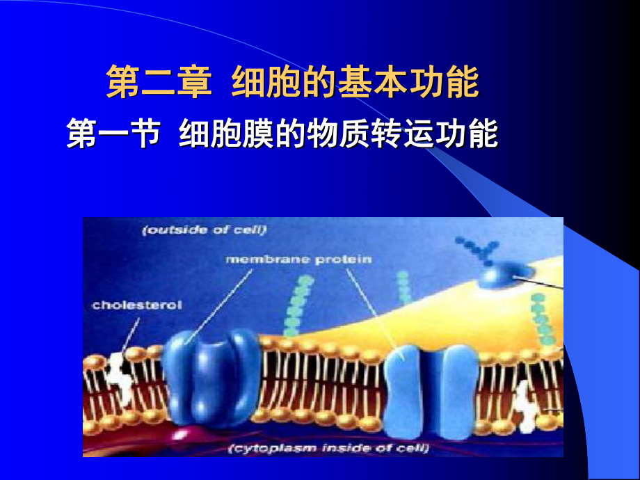 生理學(xué)課件：第二章 細(xì)胞的基本功能1_第1頁