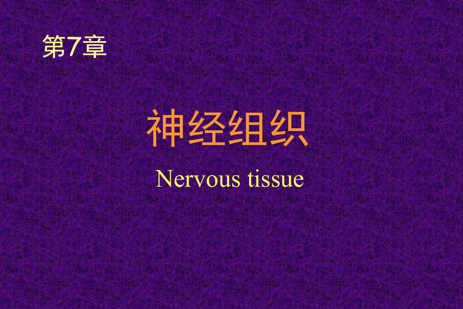 組織學(xué)與胚胎學(xué)：7.Nervous tissue_第1頁(yè)