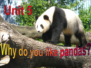 人教版U5_why_do_you_like_pandas公开课_reading
