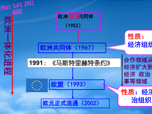 《亞洲和美洲的經(jīng)濟(jì)區(qū)域集團(tuán)化》__szm