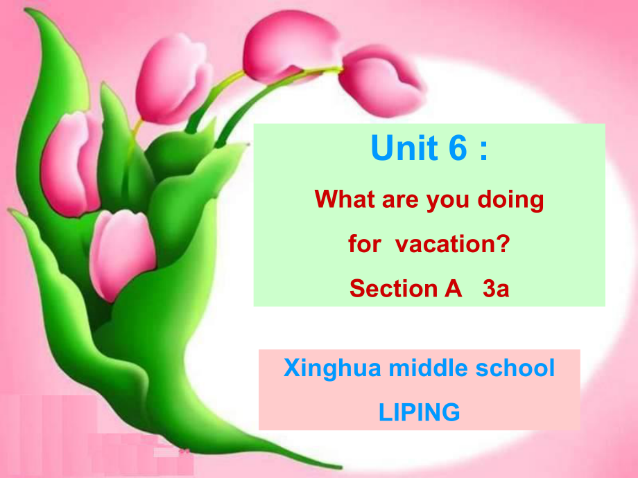 初二英语《Unit3_What_are_you_doing_for_vacation-_SectionA3a》PPT课件_第1页