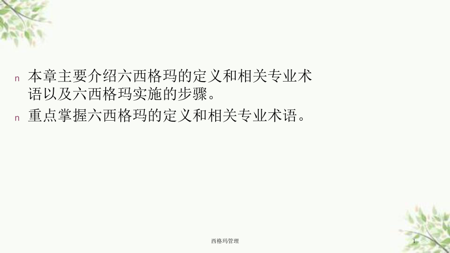 西格玛管理课件_第1页