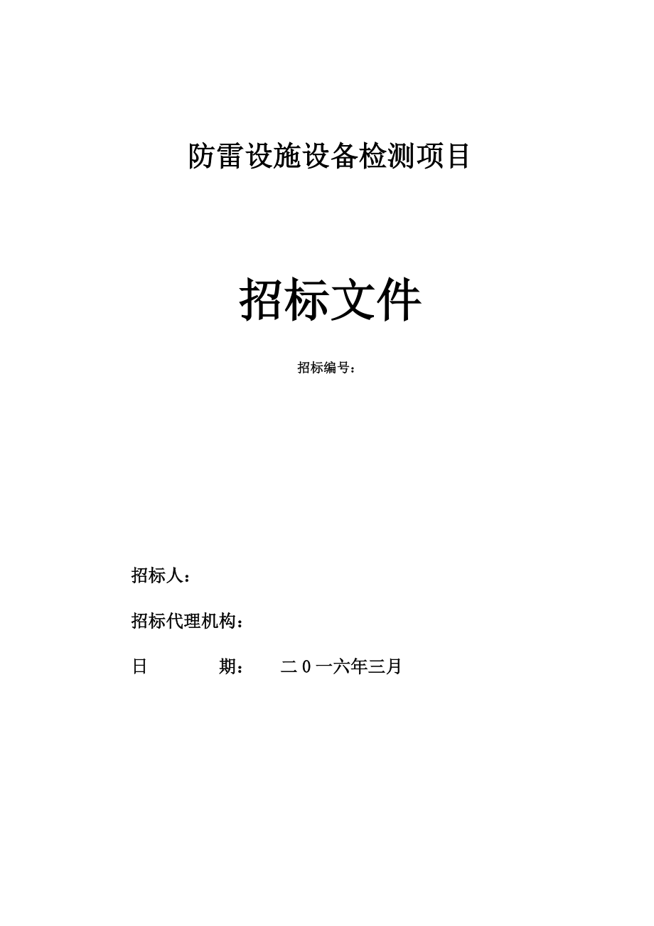 防雷设施设备检测项目招标文件_第1页