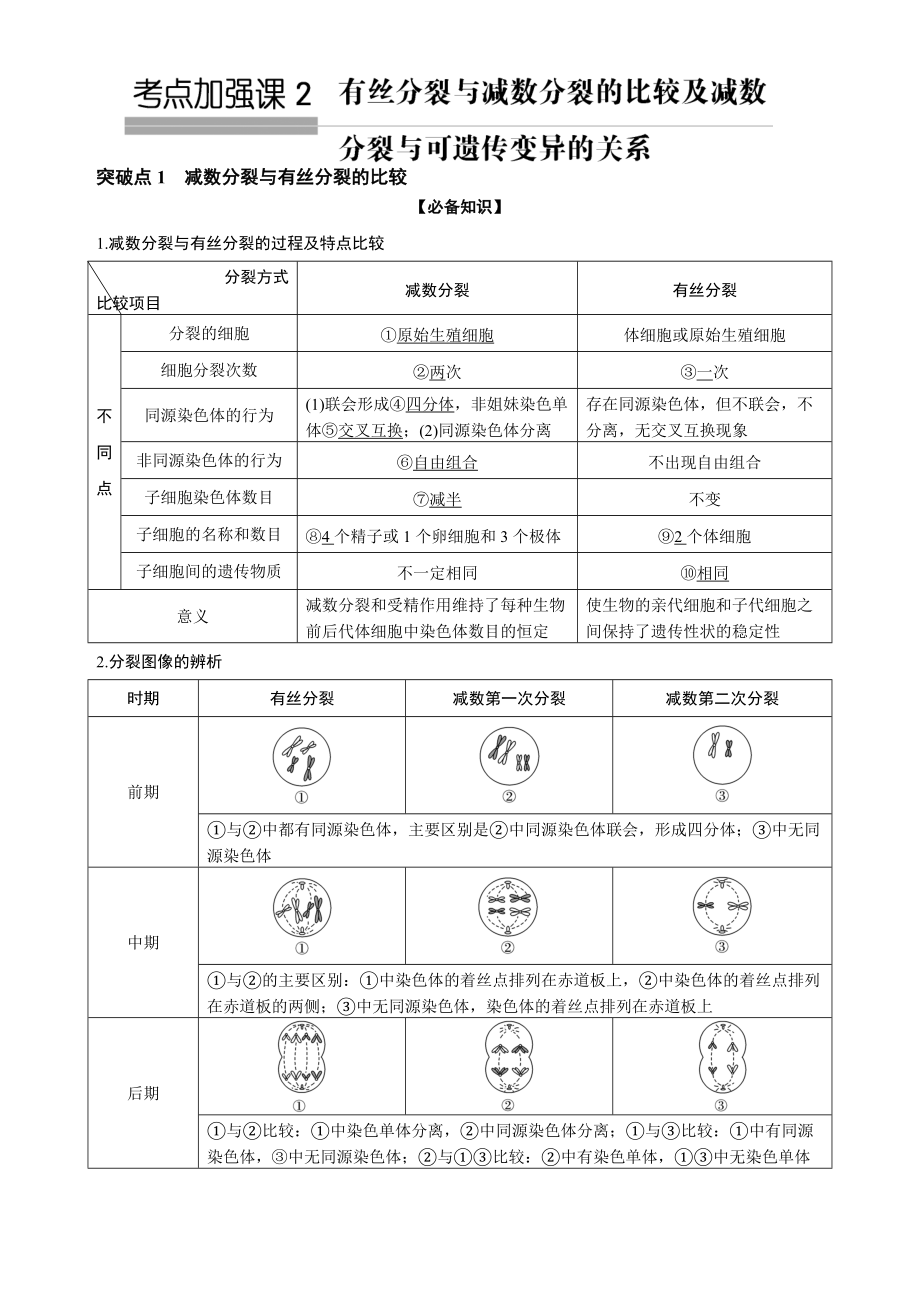 考点加强课2 有丝分裂与减数分裂的比较及减数分裂与可遗传变异的关系_第1页