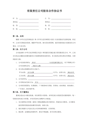 有限責(zé)任公司股東合作協(xié)議書