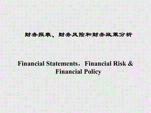 财务报表财务风险财务政策分析PPT课件