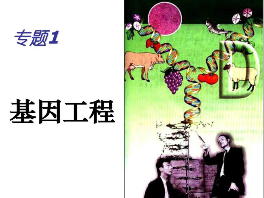 DNA组技术的基本工具图文.ppt英语_第1页