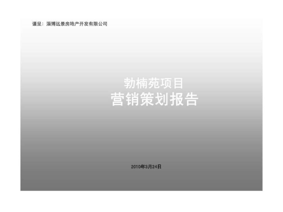 3月24日淄博远景勃楠苑项目营销策划报告数学_第1页