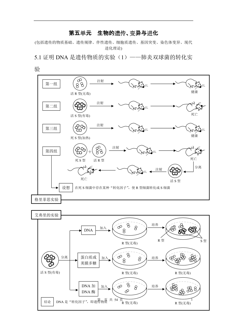 高考生物复习知识结构网络—— 生物的遗传、变异与进化_第1页