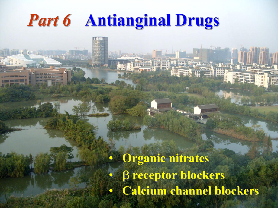 antianginaldrugs抗心絞痛藥 ppt課件數(shù)學(xué)_第1頁(yè)