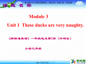 Module 3Unit 1 These ducks are very naughtyppt課件2