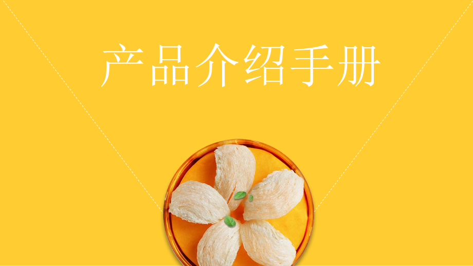 產(chǎn)品介紹手冊通用模板_第1頁