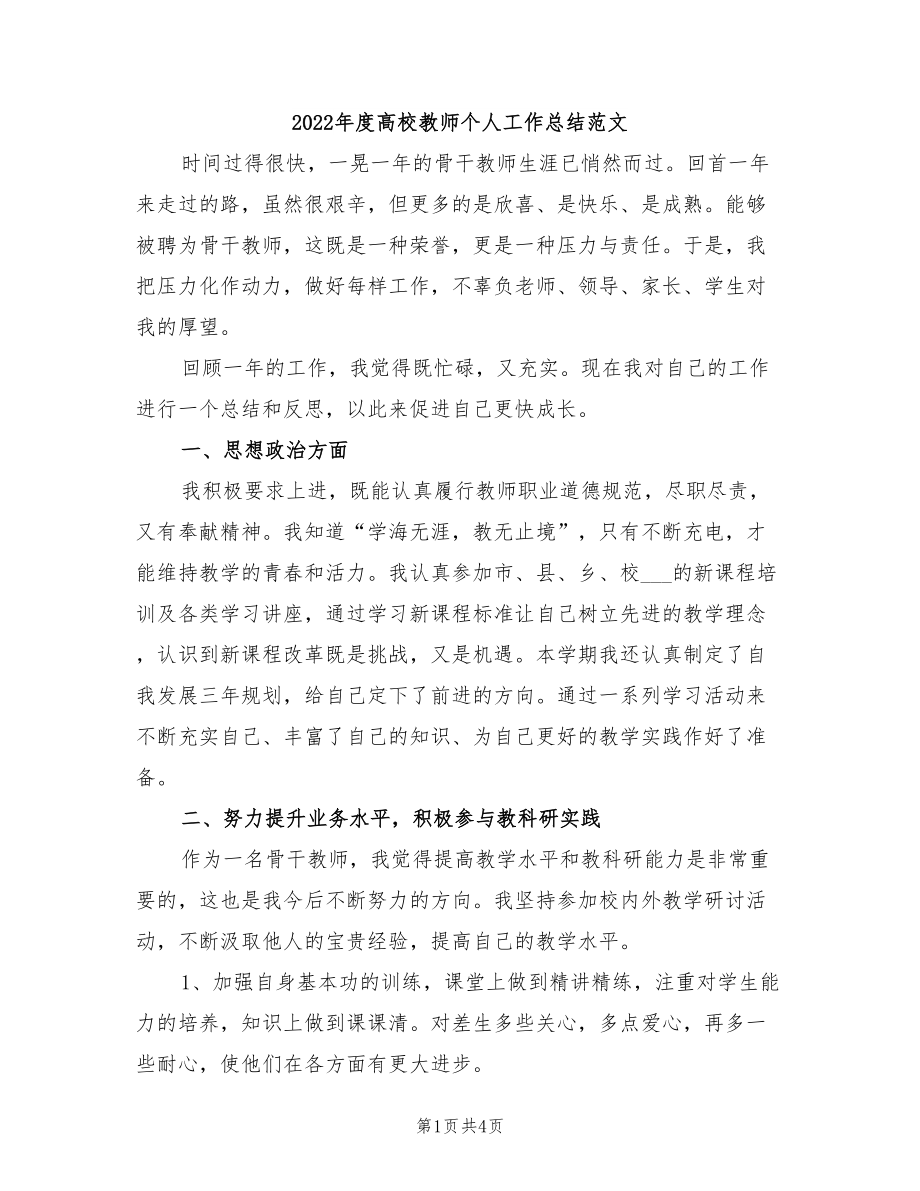 2022年度高校教师个人工作总结范文_第1页