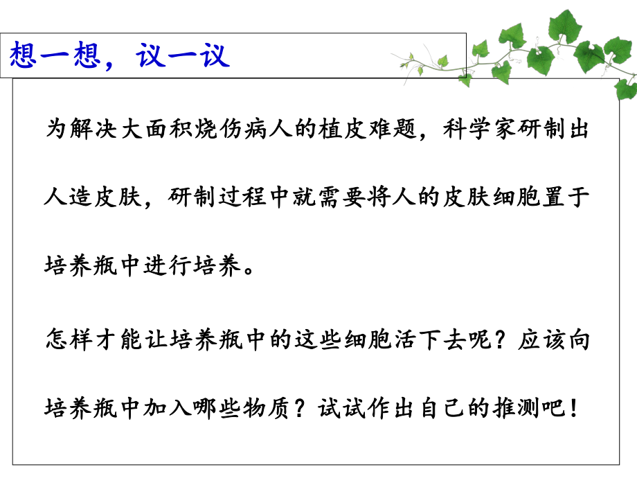 人教版 生物 七年级 上册 第二单元 第一章 第四节 细胞的生活 (29张ppt)_第1页