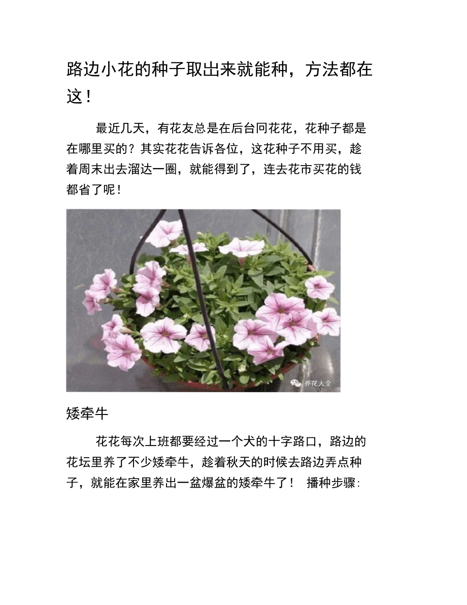 路边小花的种子取出来就能种,方法都在这!_第1页