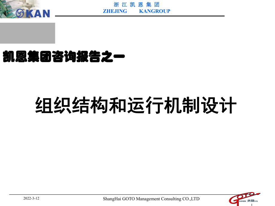 組織結(jié)構(gòu)和運行機制設計咨詢報告_第1頁