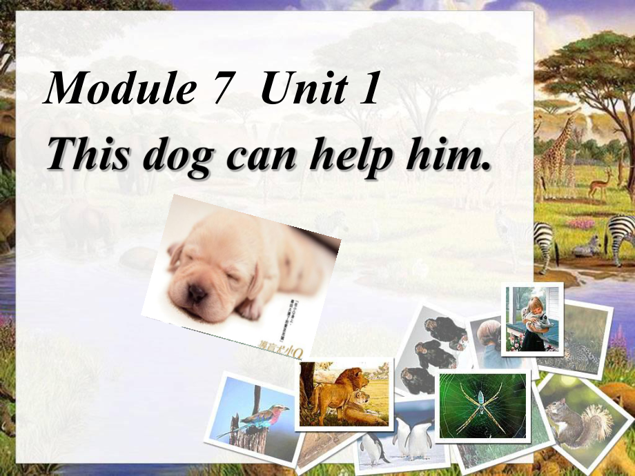 外研版一起五上Module 7Unit 1 This dog can help himppt課件1_第1頁