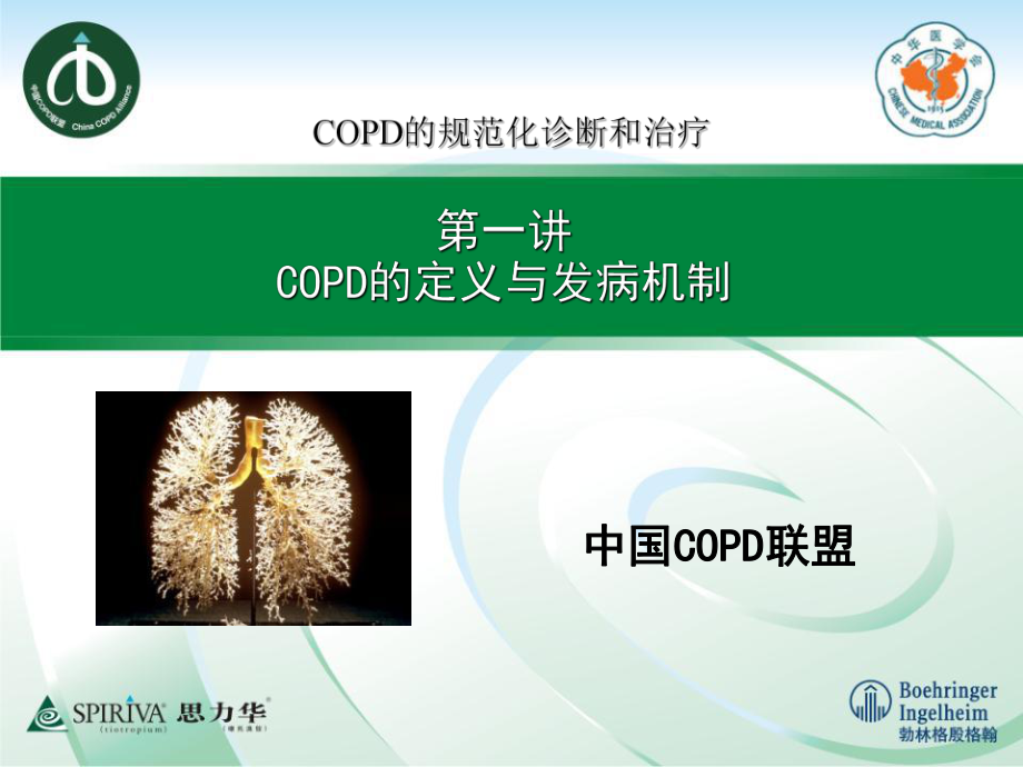 copd的發(fā)病機(jī)制和定義m ppt課件數(shù)學(xué)_第1頁(yè)