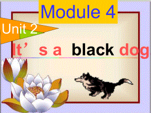 外研三年級起點三年級上冊Module 4Unit 2 It39;s a black dog.PPT課件