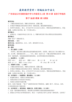 最新广东省汕头市七年级语文上册 第29课 盲孩子和他的影子教案 人教版