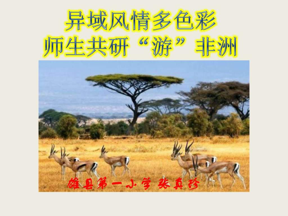 彩色的非洲導(dǎo)學(xué)案說課稿圖文.ppt_第1頁