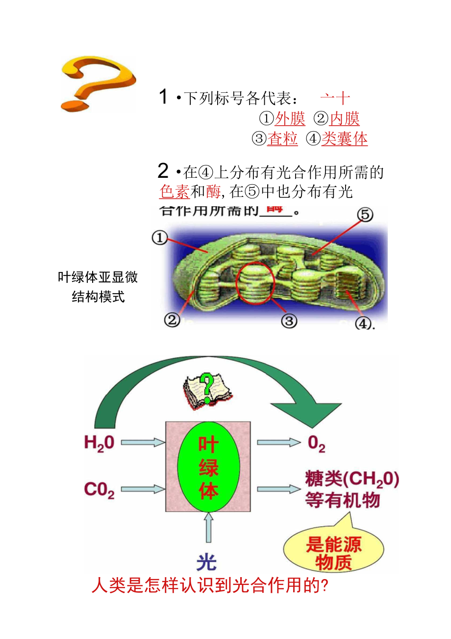 光合作用探究历程精