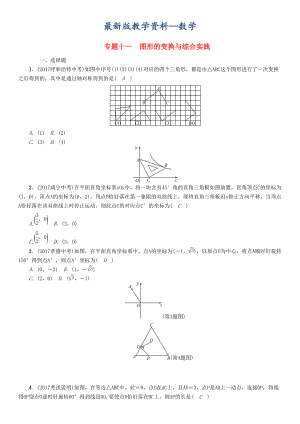 【最新版】河北省中考数学总复习 专题11图形的变换与综合实践精练试题