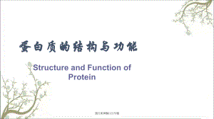 蛋白质和酶1121专题课件