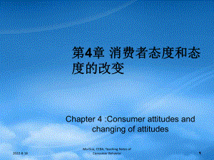 消费者行为学第四章