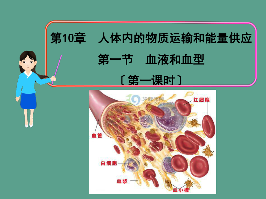 血液和血型1ppt课件_第1页