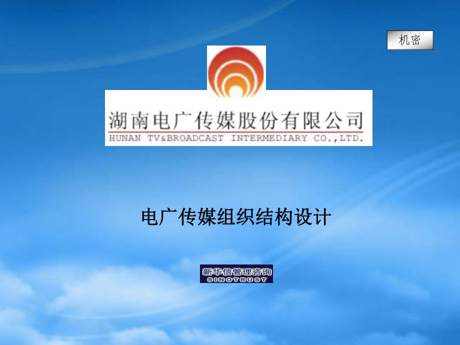 湖南电广传媒公司组织结构设计_第1页