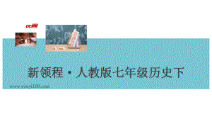 人教版七年級(jí)歷史下冊(cè)習(xí)題課件專題二 古代民族關(guān)系和中外關(guān)系