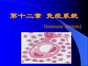第九章免疫系统ahmueducn