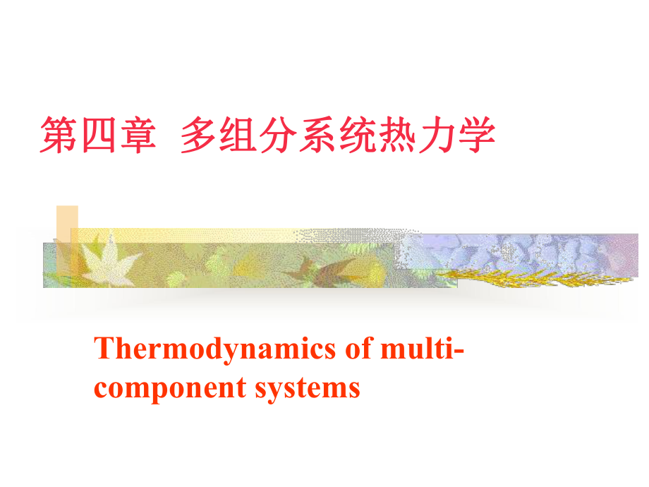 物理化学：第四章 多组分系统热力学2_第1页