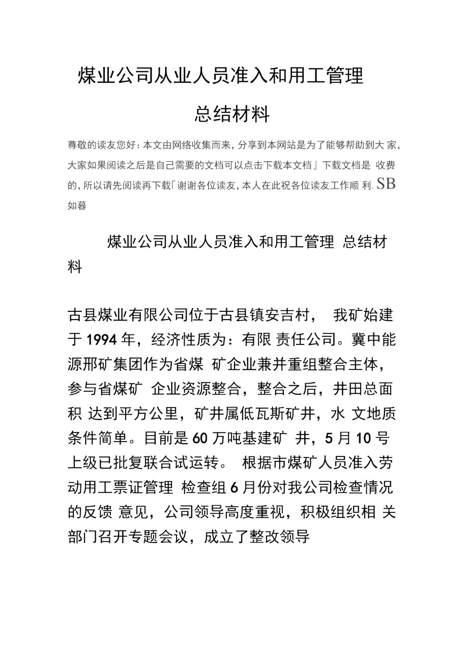 煤业公司从业人员准入和用工管理总结材料_第1页