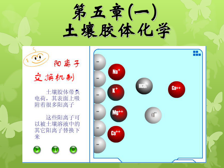 第五章(1) 土壤膠體化學(xué)與表面反應(yīng)_第1頁