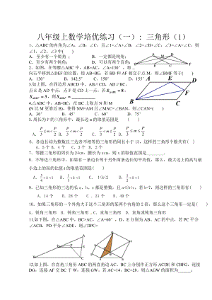 最新人教版八年级上数学培优练习几何部分21页