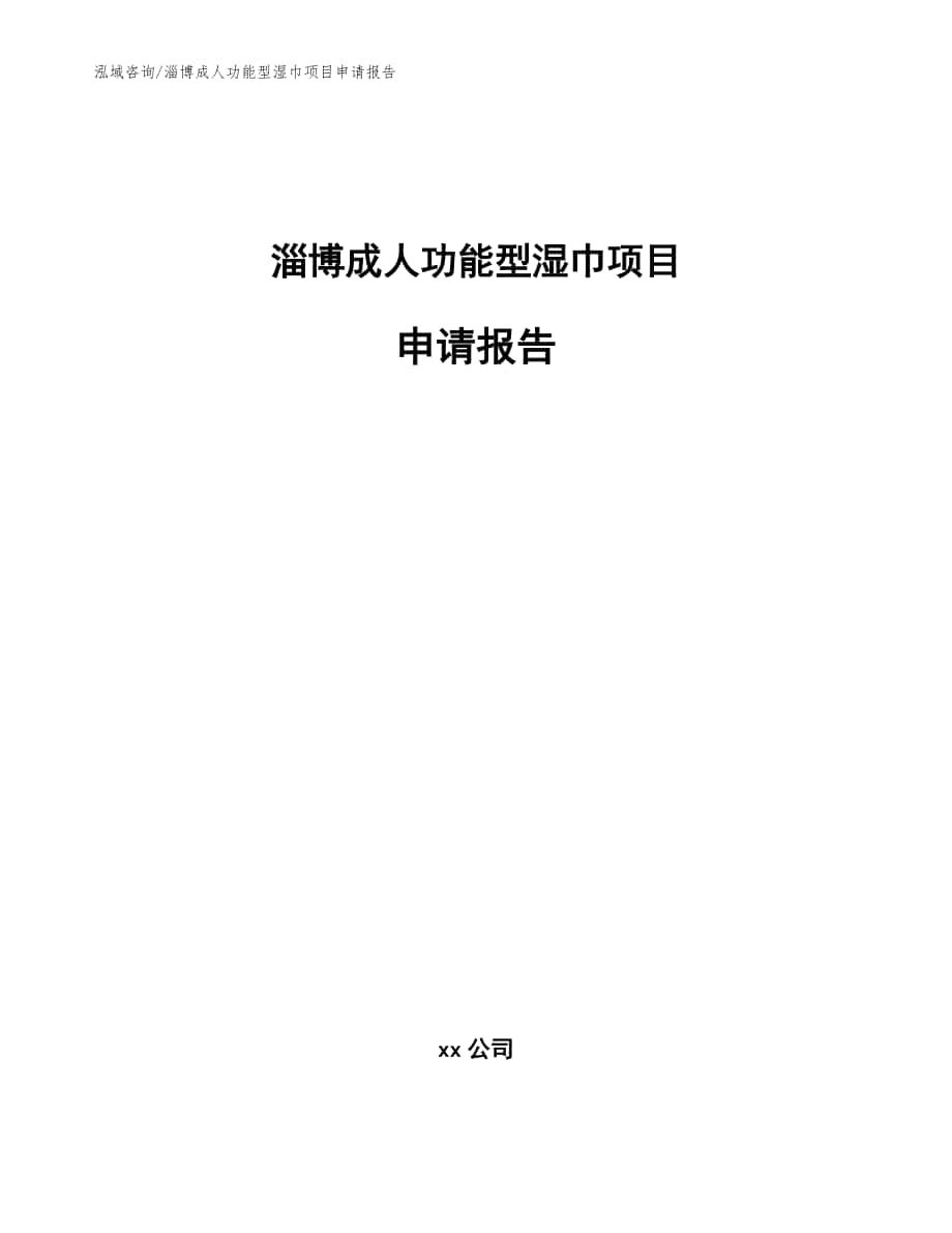 淄博成人功能型湿巾项目申请报告（模板参考）_第1页