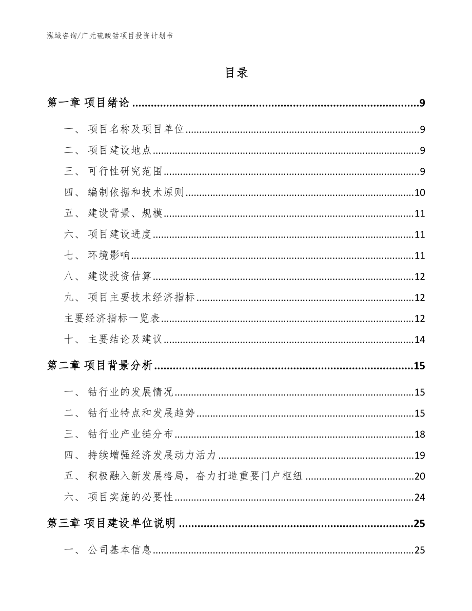 广元硫酸钴项目投资计划书_参考模板_第1页