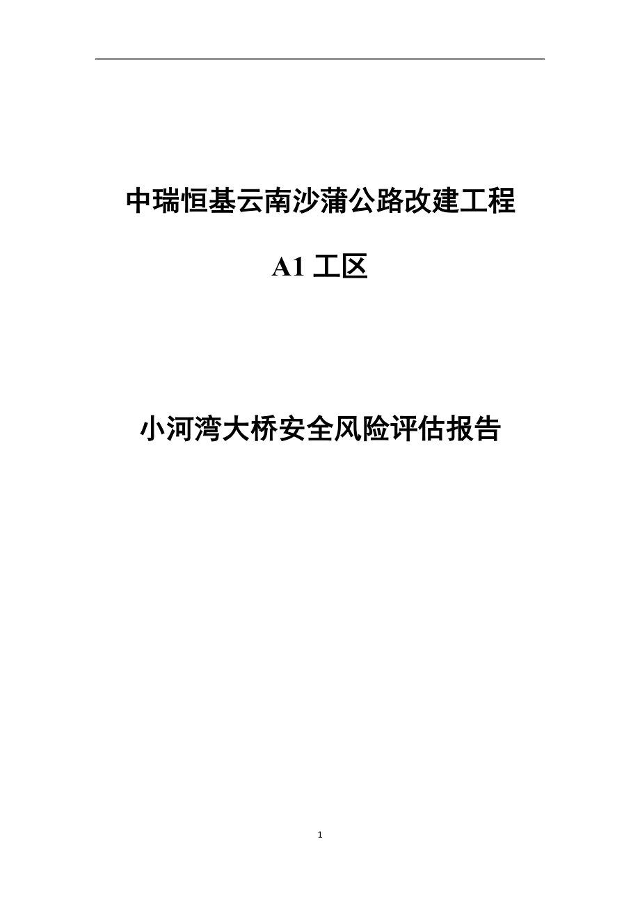 某大桥安全风险评估报告_第1页