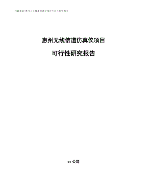 惠州无线信道仿真仪项目可行性研究报告（模板参考）