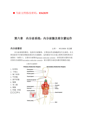 內(nèi)分泌腺及荷爾蒙運(yùn)作內(nèi)分泌器官