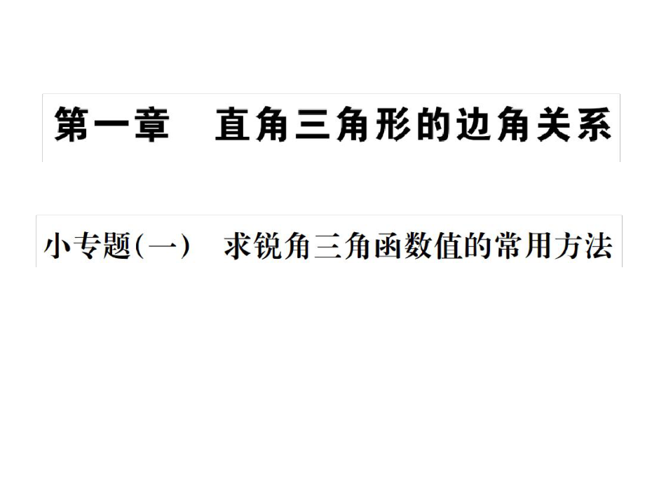 北师大版九年级数学下册习题课件小专题一求锐角三角函数值的常用方法共22张_第1页