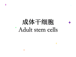 干细胞成体干细胞..PPT