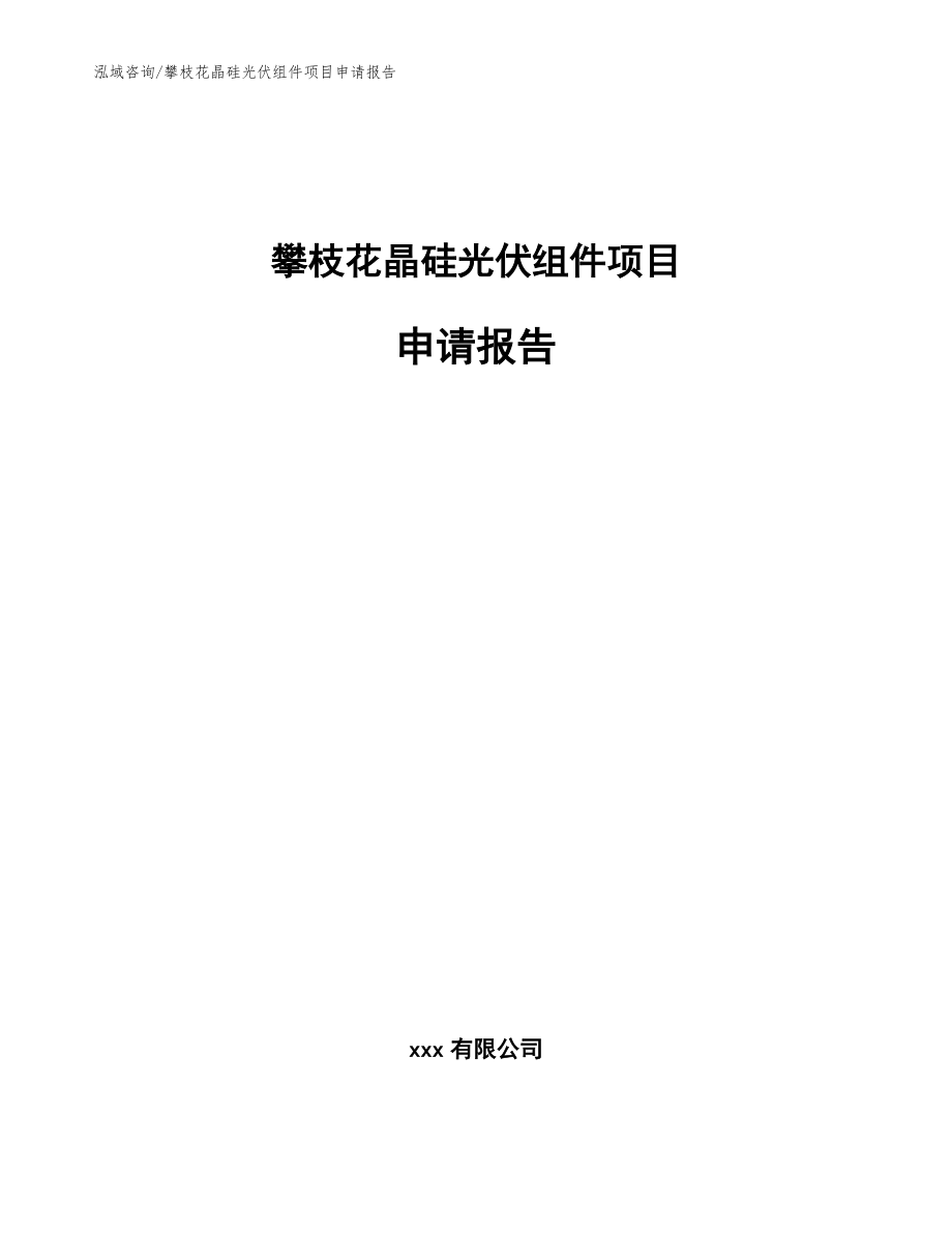 攀枝花晶硅光伏组件项目申请报告（范文参考）_第1页
