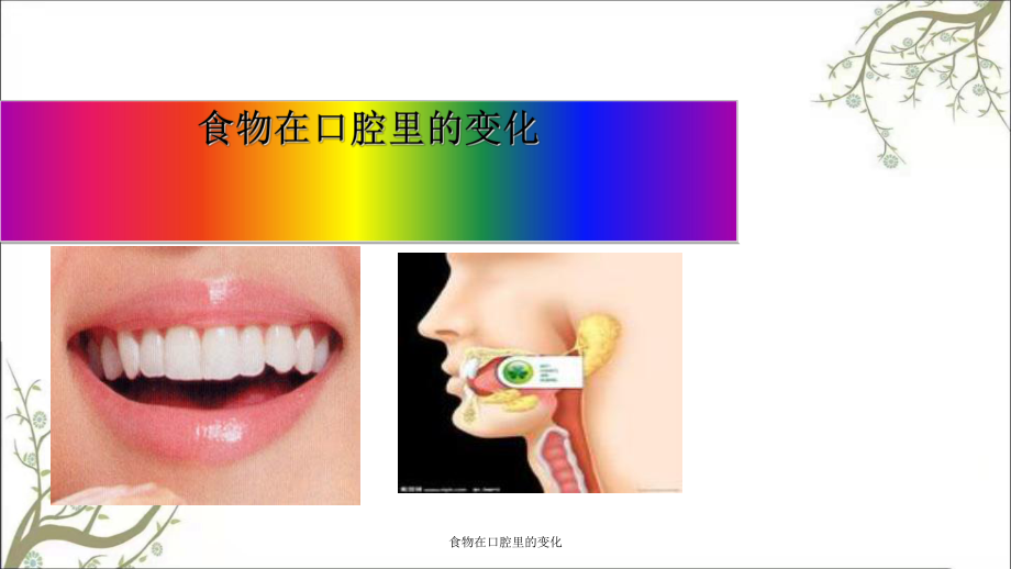 食物在口腔里的变化课件_第1页