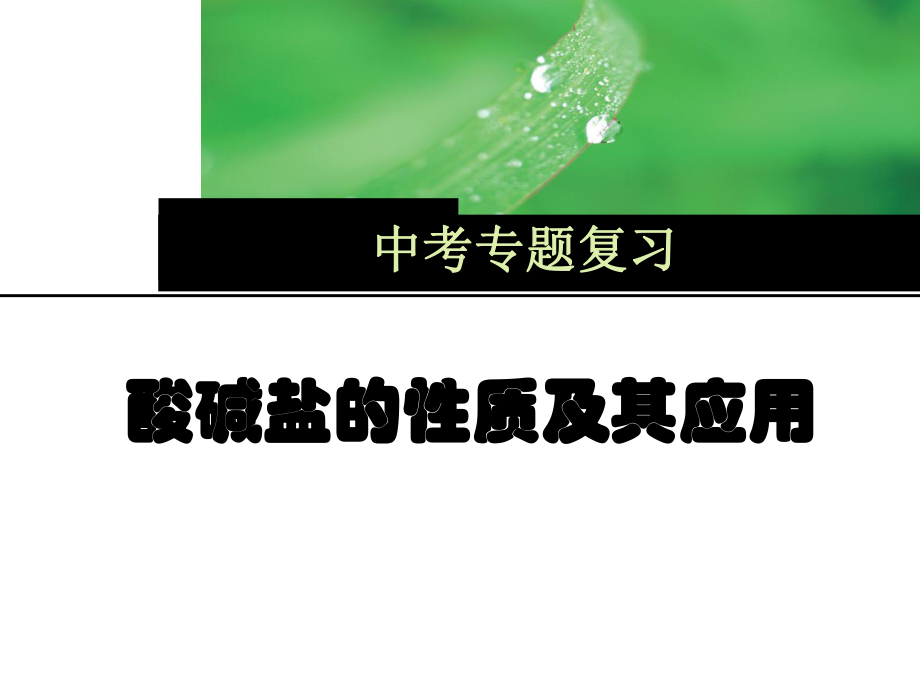 初三化學(xué)《酸堿鹽復(fù)習(xí)》公開(kāi)課課件資料_第1頁(yè)