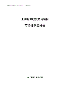 上海射频收发芯片项目可行性研究报告_模板